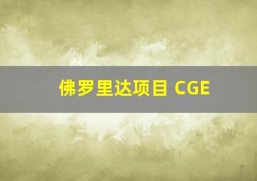 佛罗里达项目 CGE